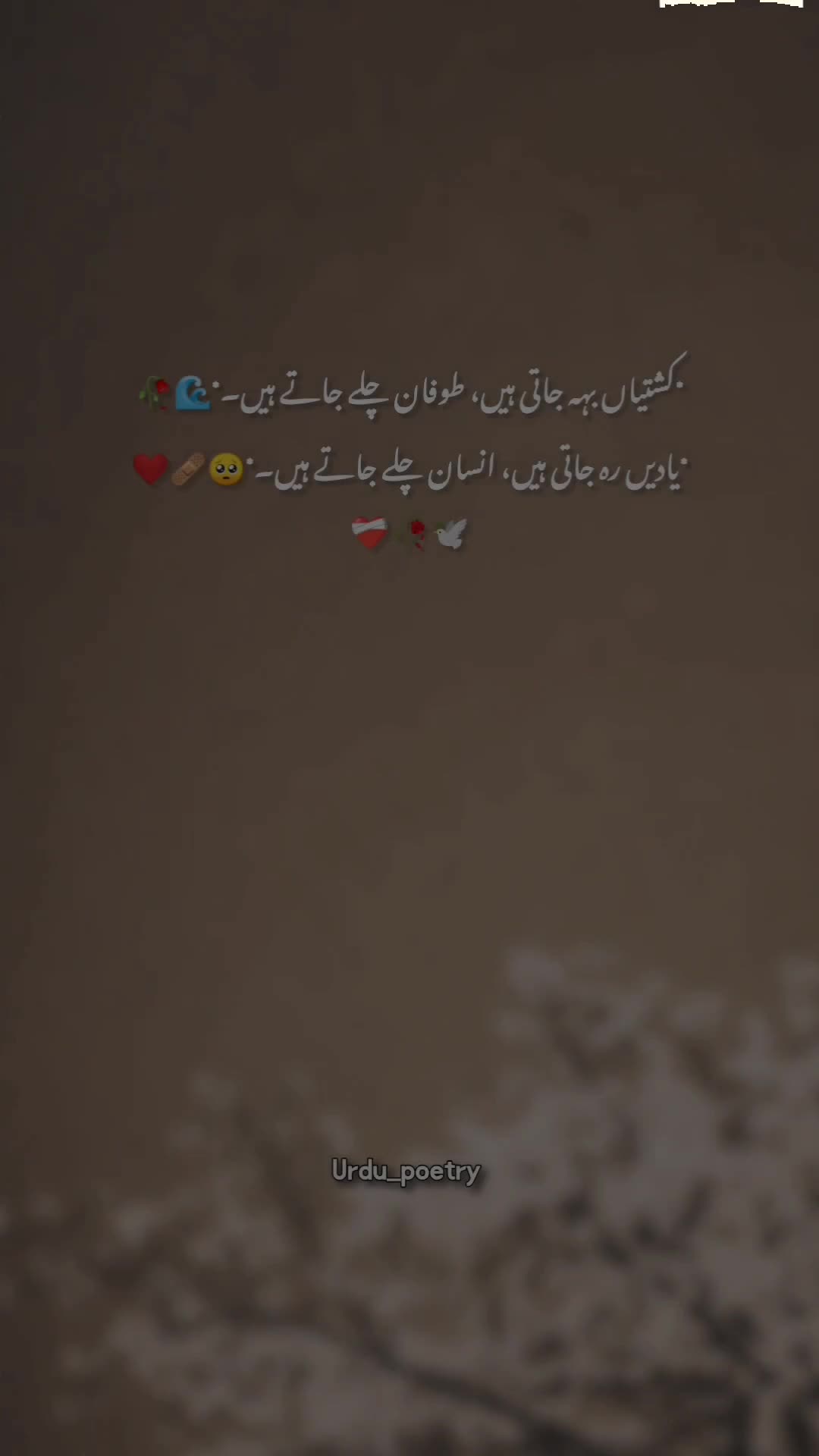 @𝐃𝐞𝐞𝐩 𝐥𝐢𝐧𝐞𝐬 ✨