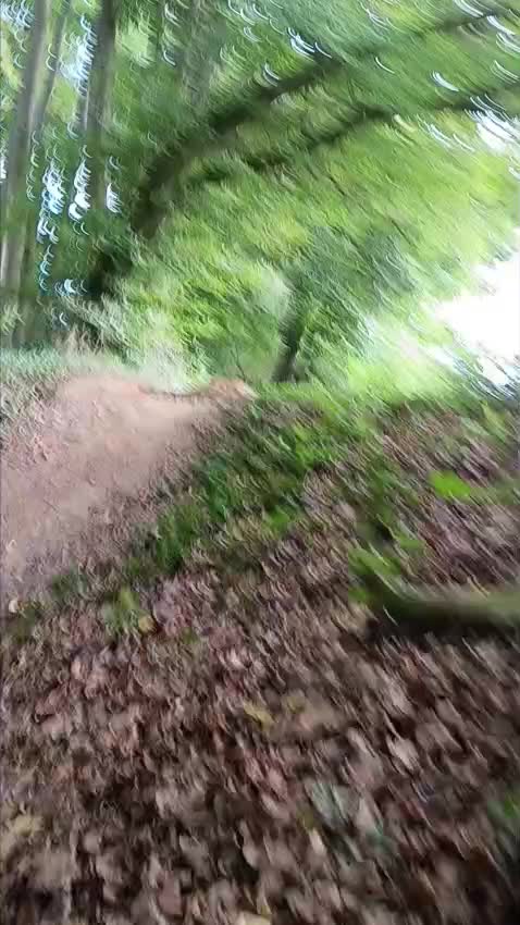 @Justin_SX