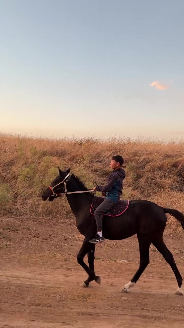 @_zhumadilla_s