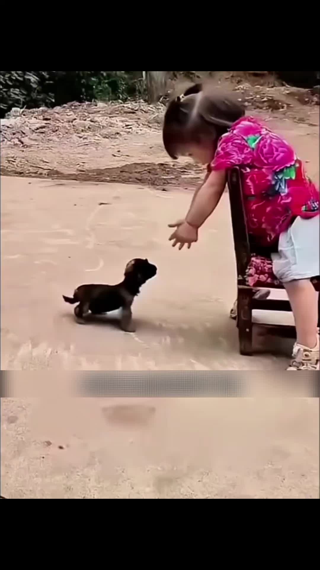 @Zatsugaku Animal