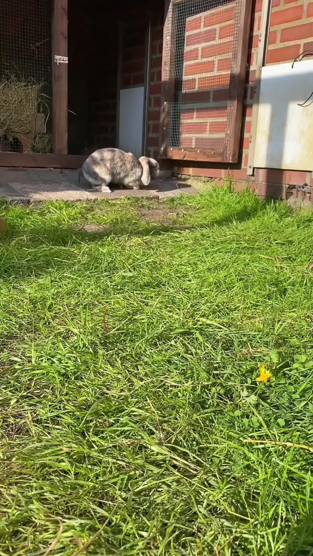 @𝐩𝐟𝐨𝐭𝐞𝐧_𝐛𝐚𝐧𝐝𝐞