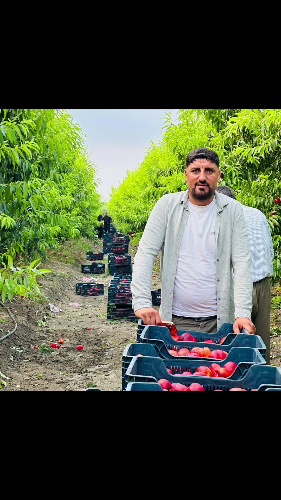 @Çavuş Botan.73
