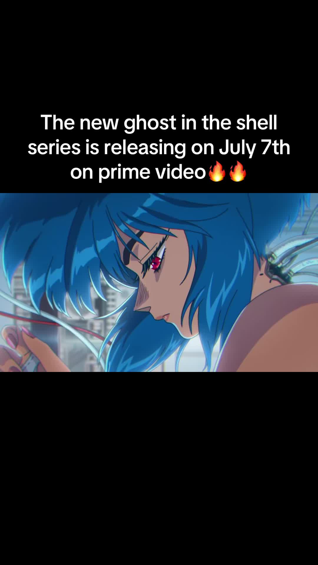 @SENSEILAW