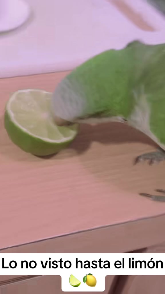 @Charlie🦜