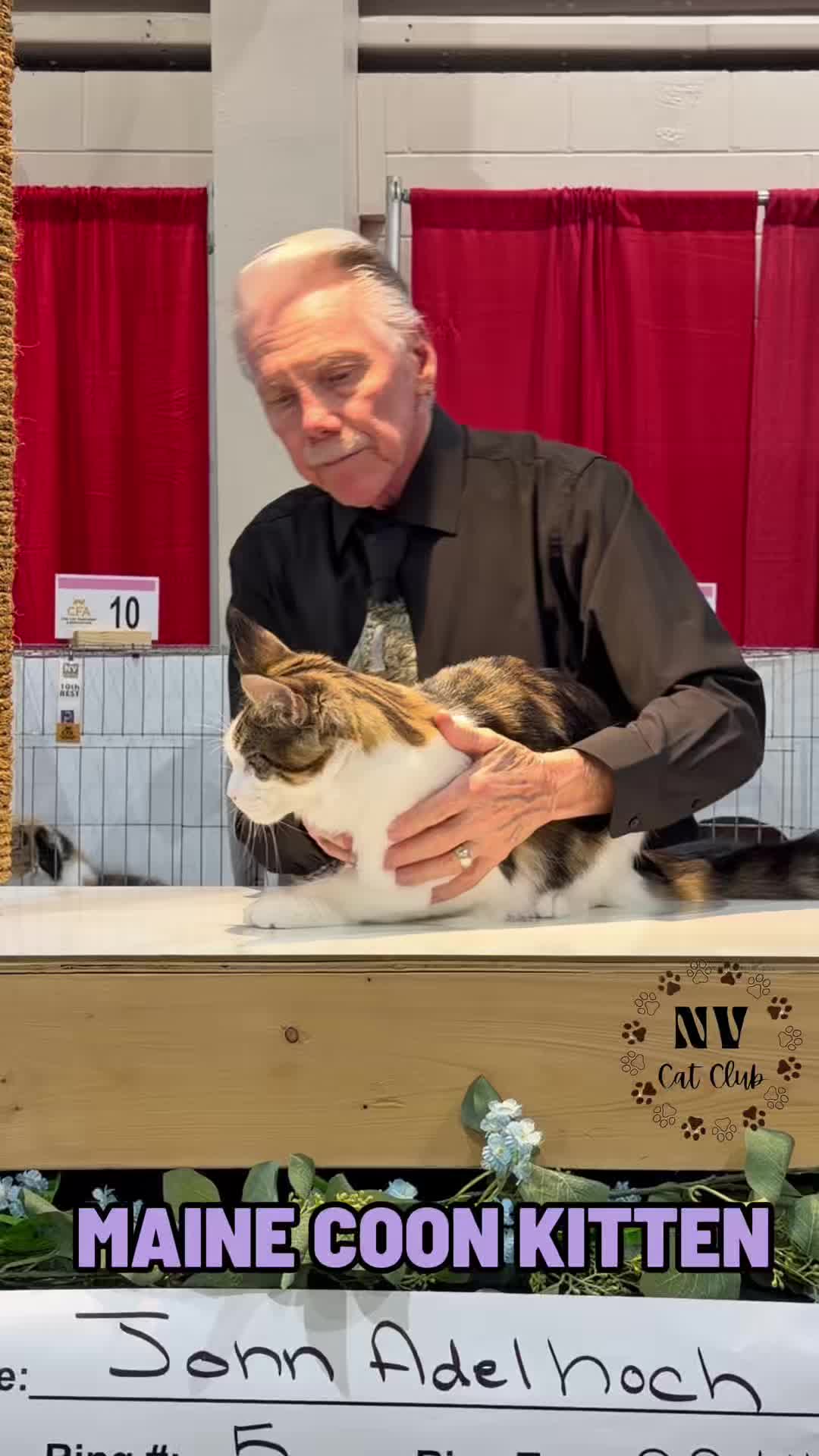 @NewVisionCatClub