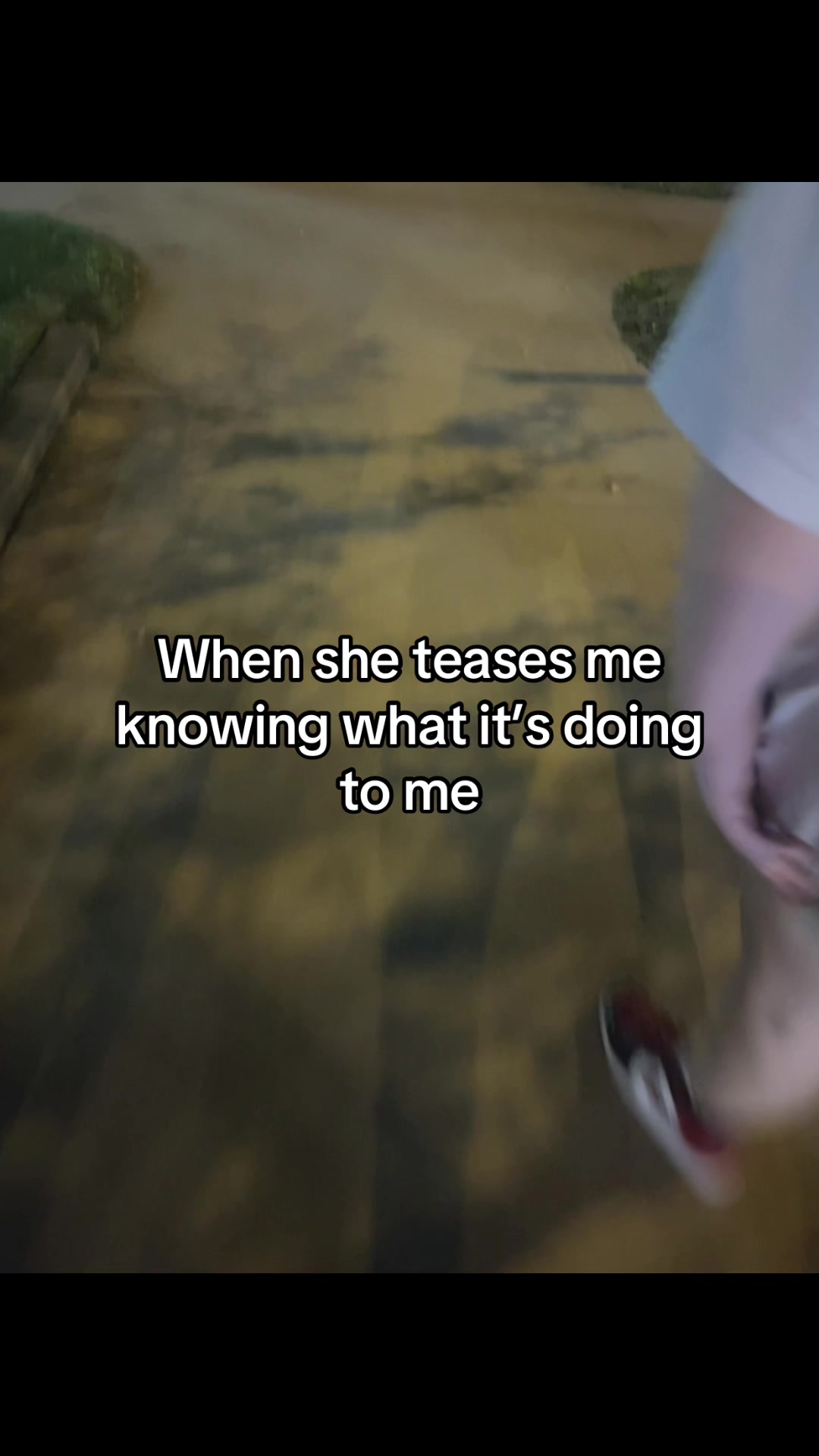 @Puppy (₊˚🦴🪽⋆˚꩜)