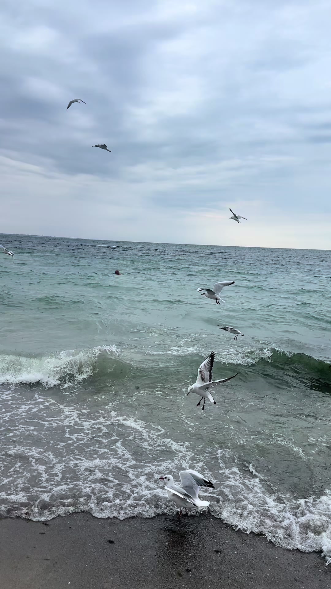 @Любовь🤍