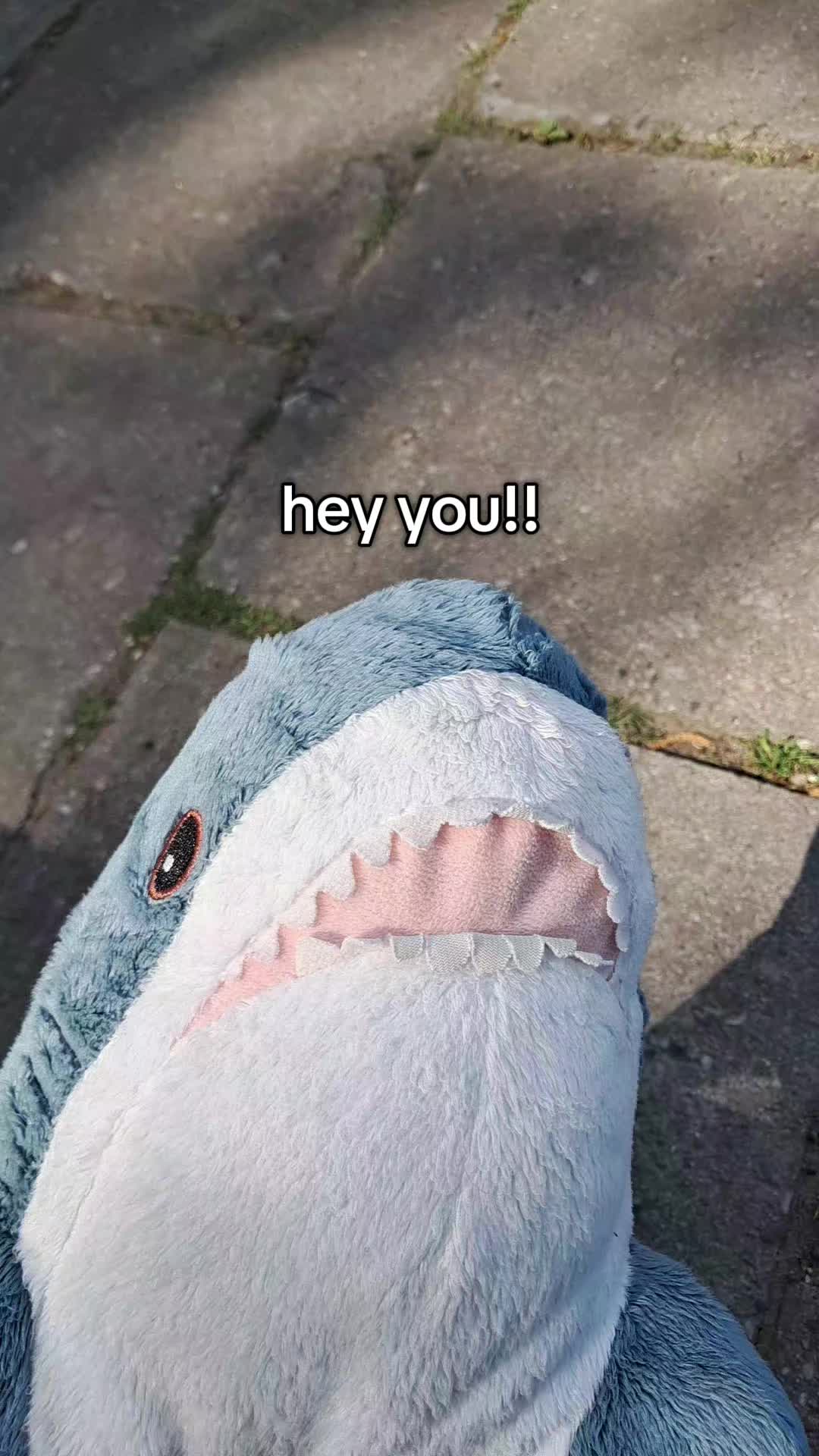 @Willie the Shark <3