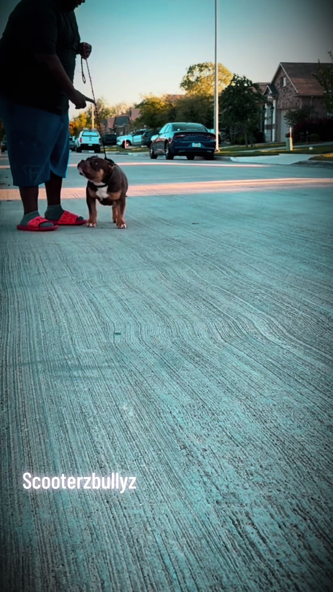 @Scooterzbullyz LLC