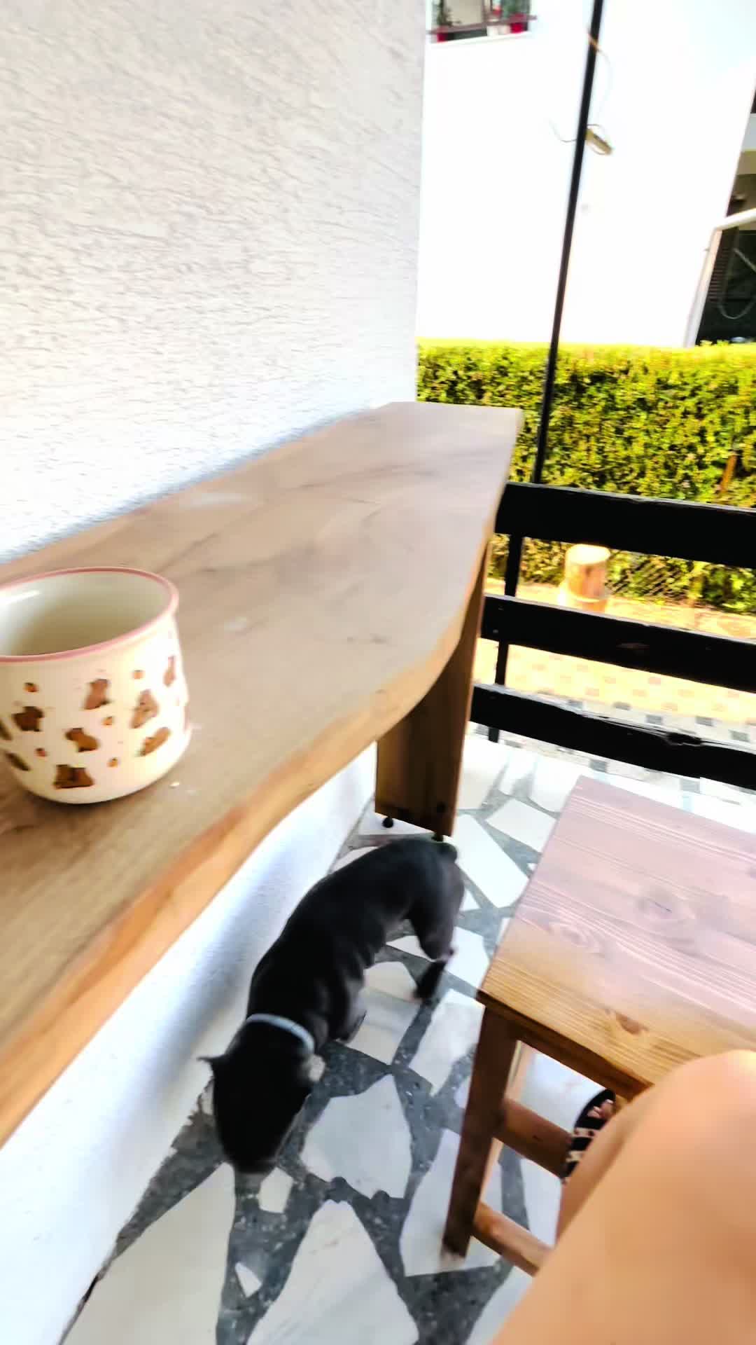 @sandra232403