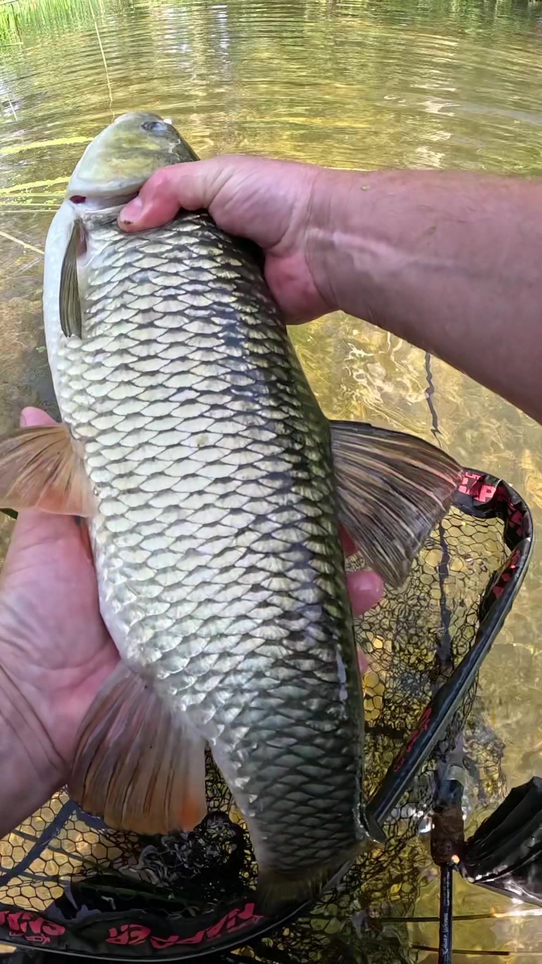 @Custom lure factory