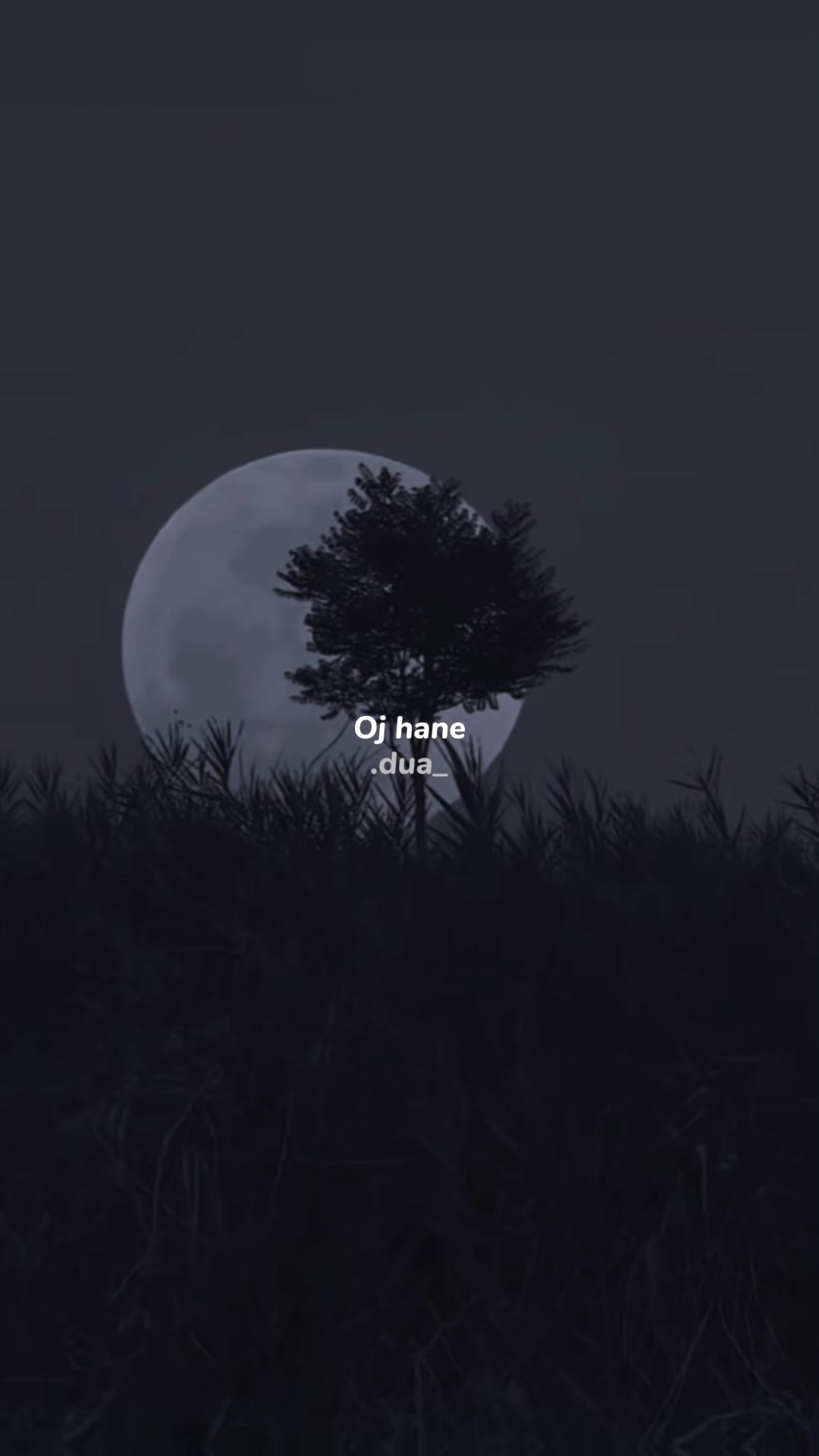 @๐ ๐จ ๐