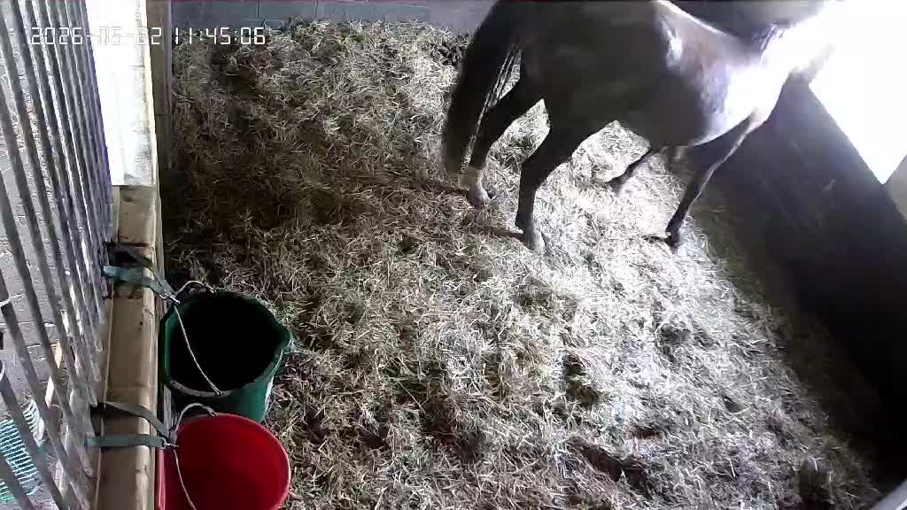 @BoeRanch14