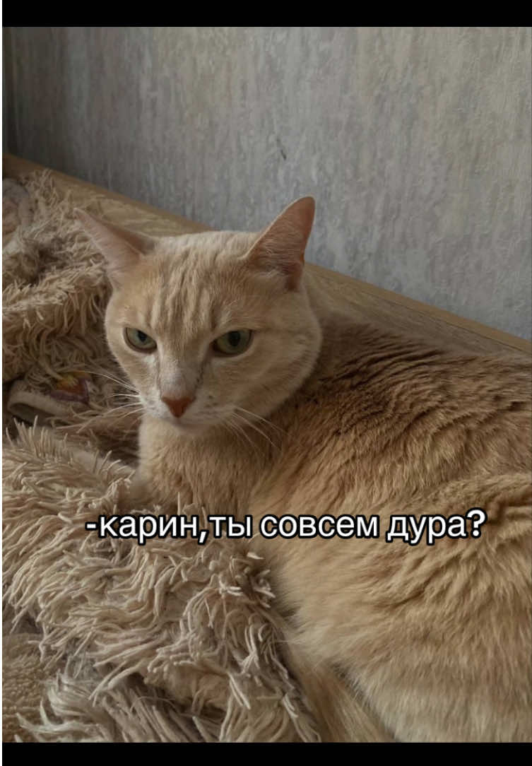 @каринэ💋