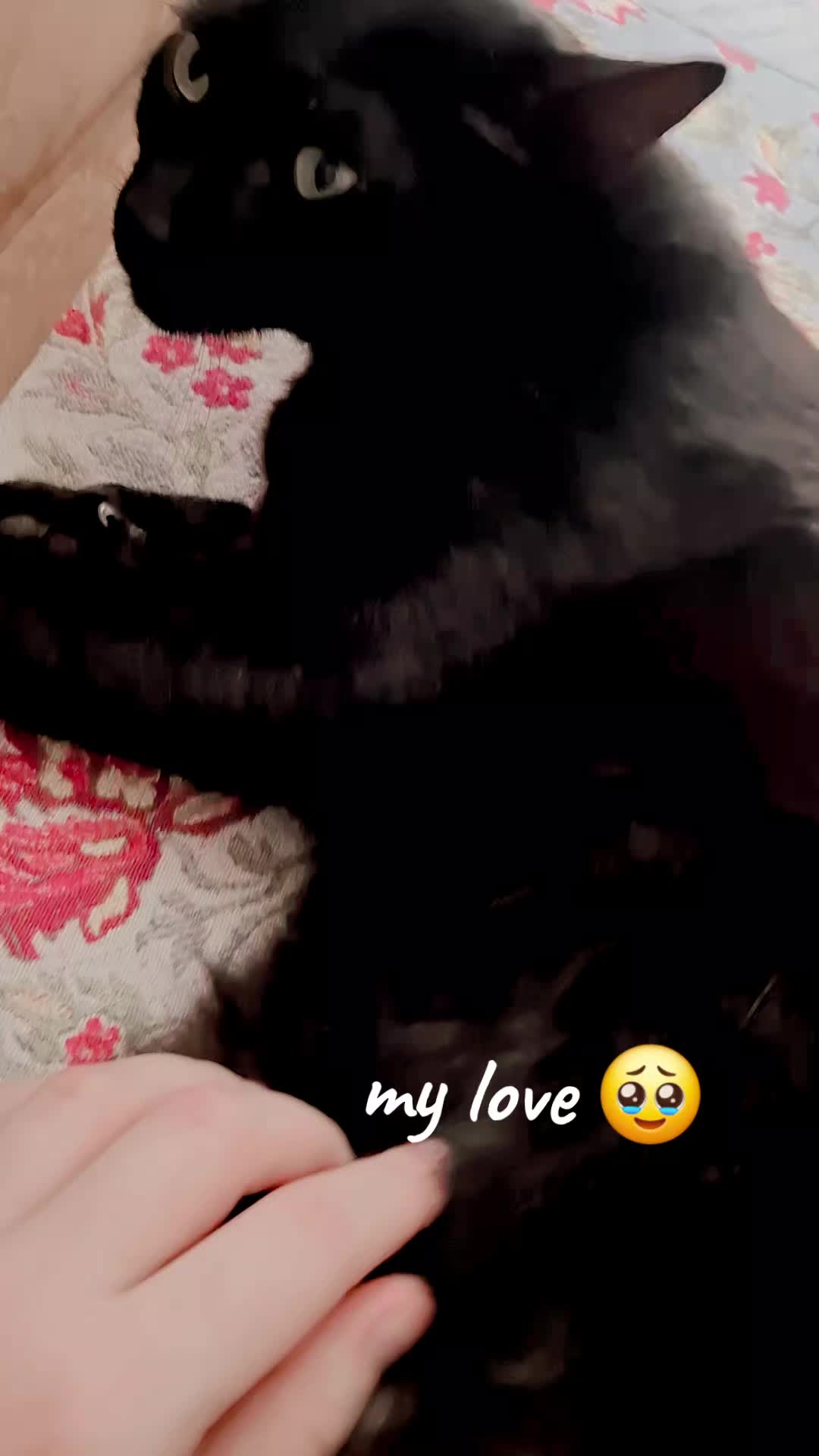 @MintSoul