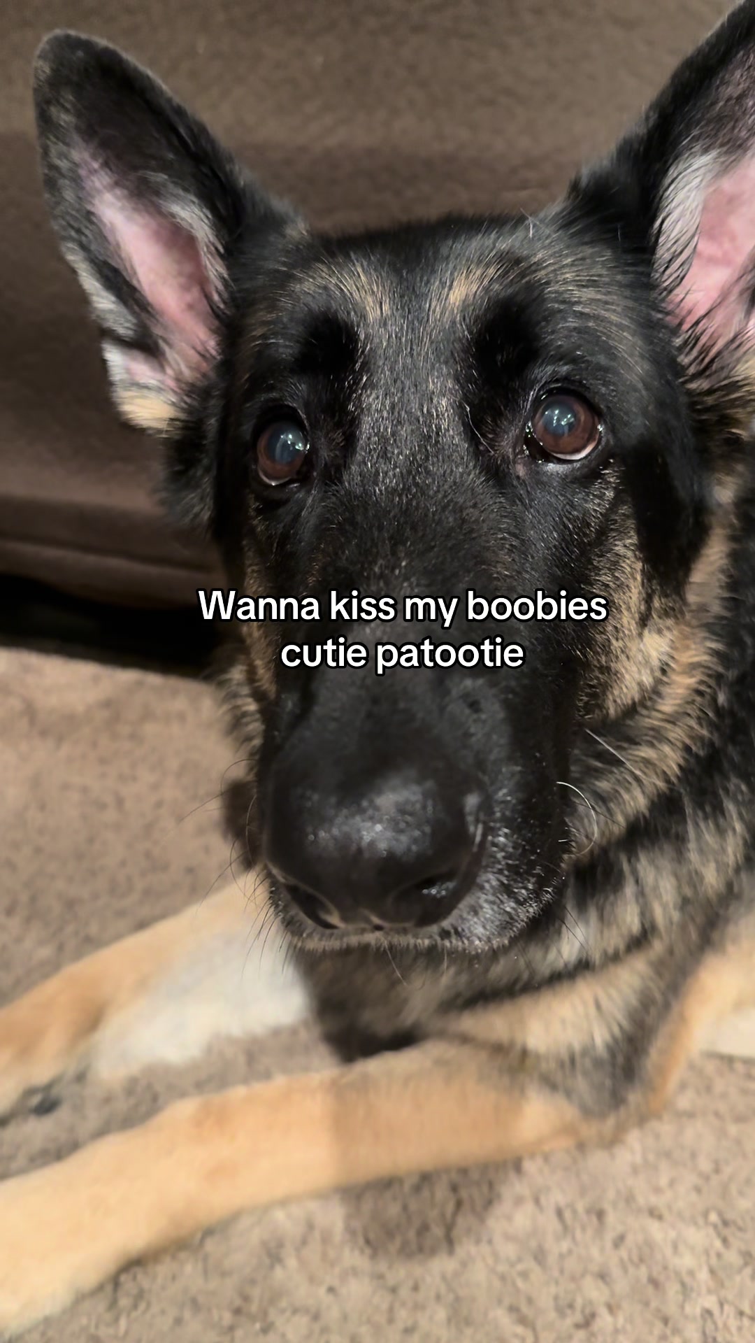 @Bhris