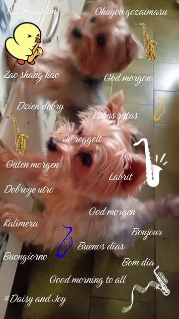 @#Daisy and Joy