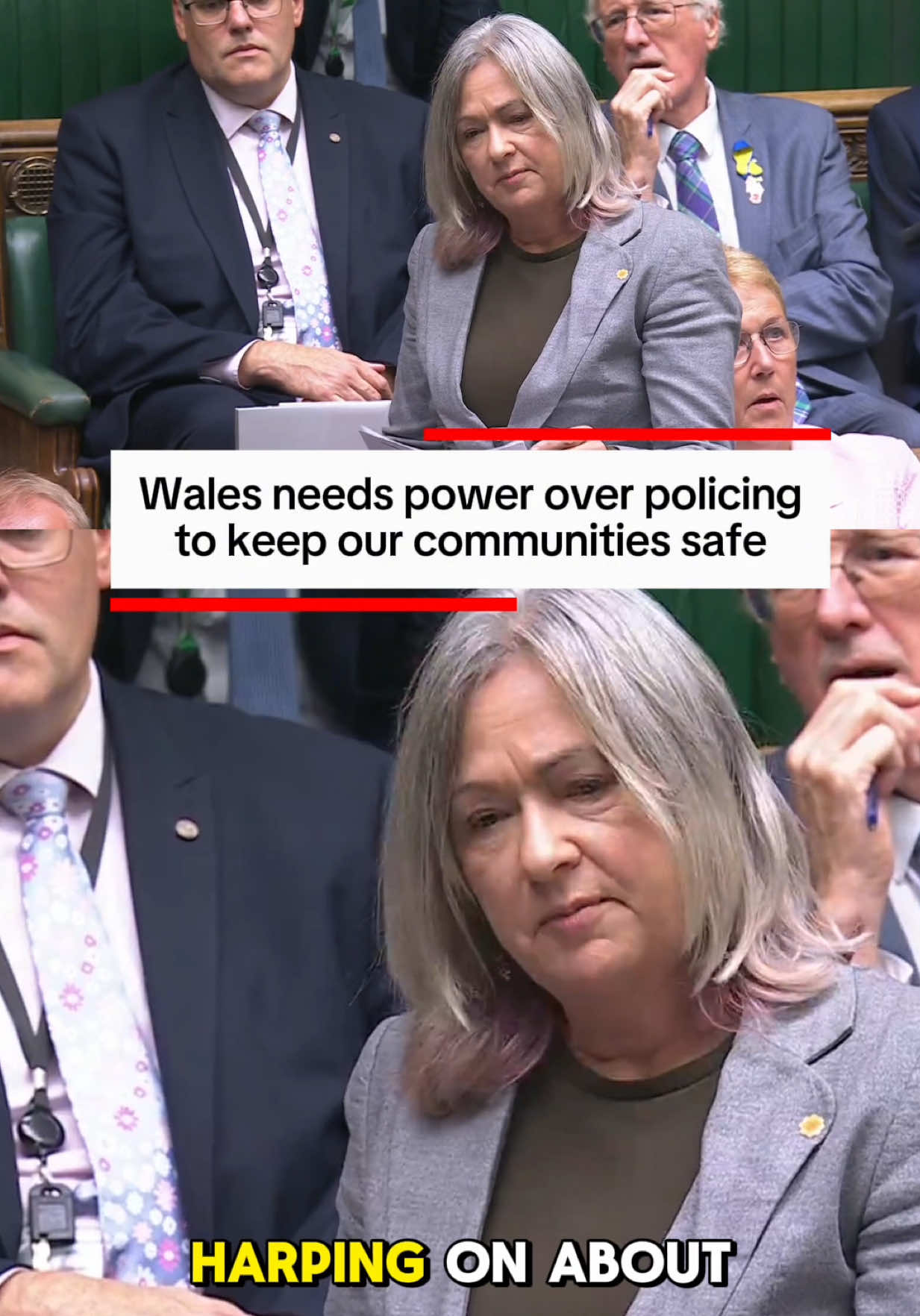 @Plaid Cymru