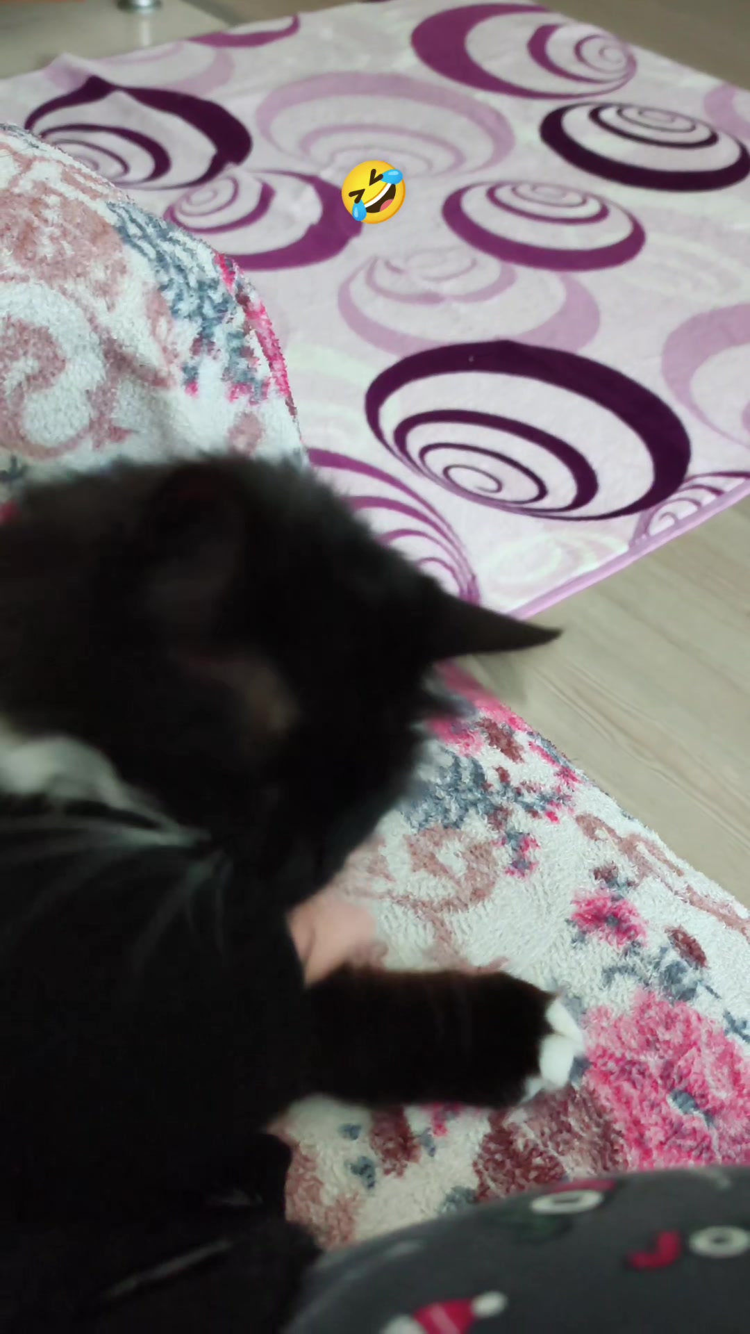 @🐰BAŞ🍀 BELASI💞