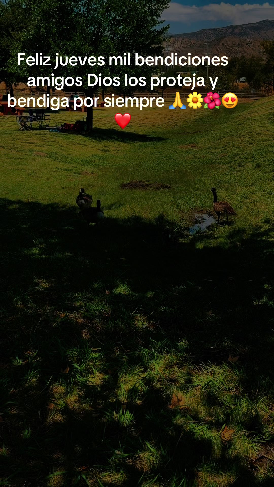 @🌼 𝓥𝓮𝓻𝓸 🌼🌺💋💕