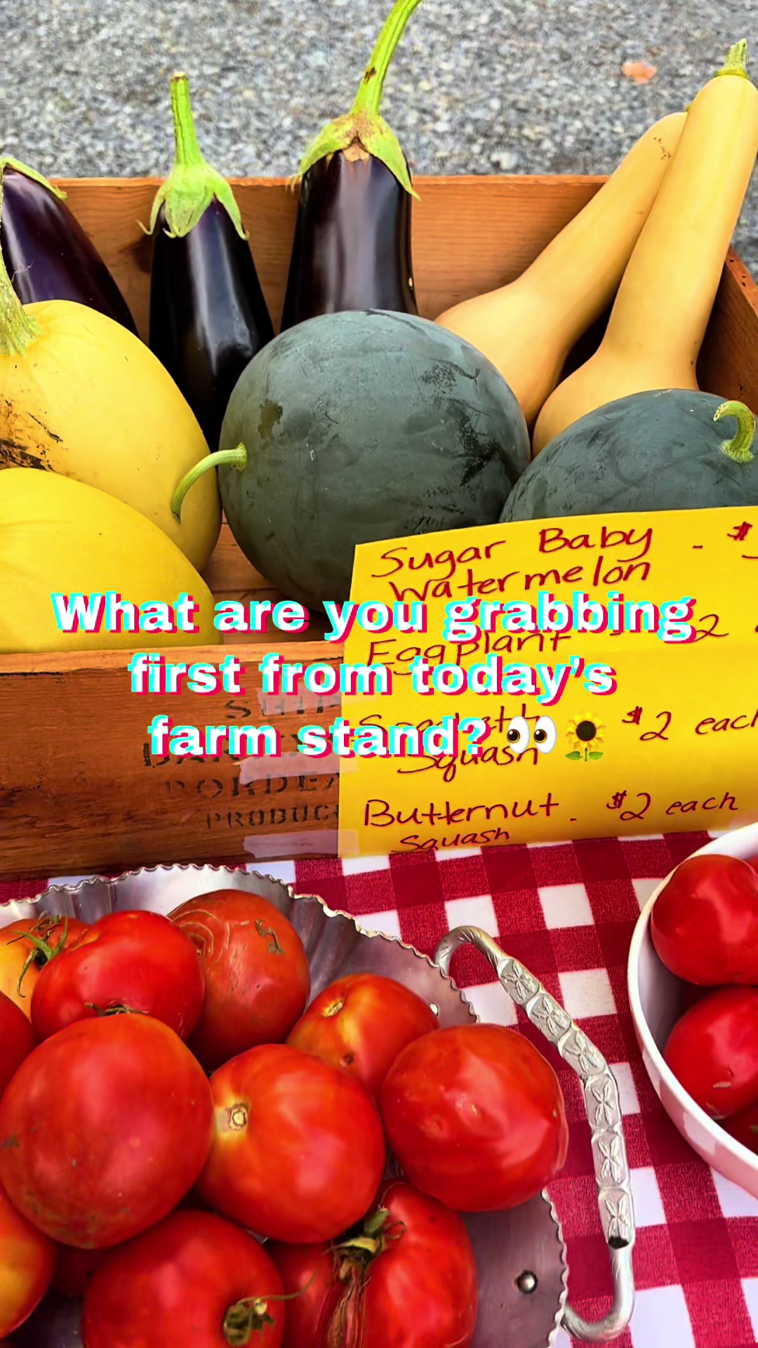 @Resistance Homesteaders