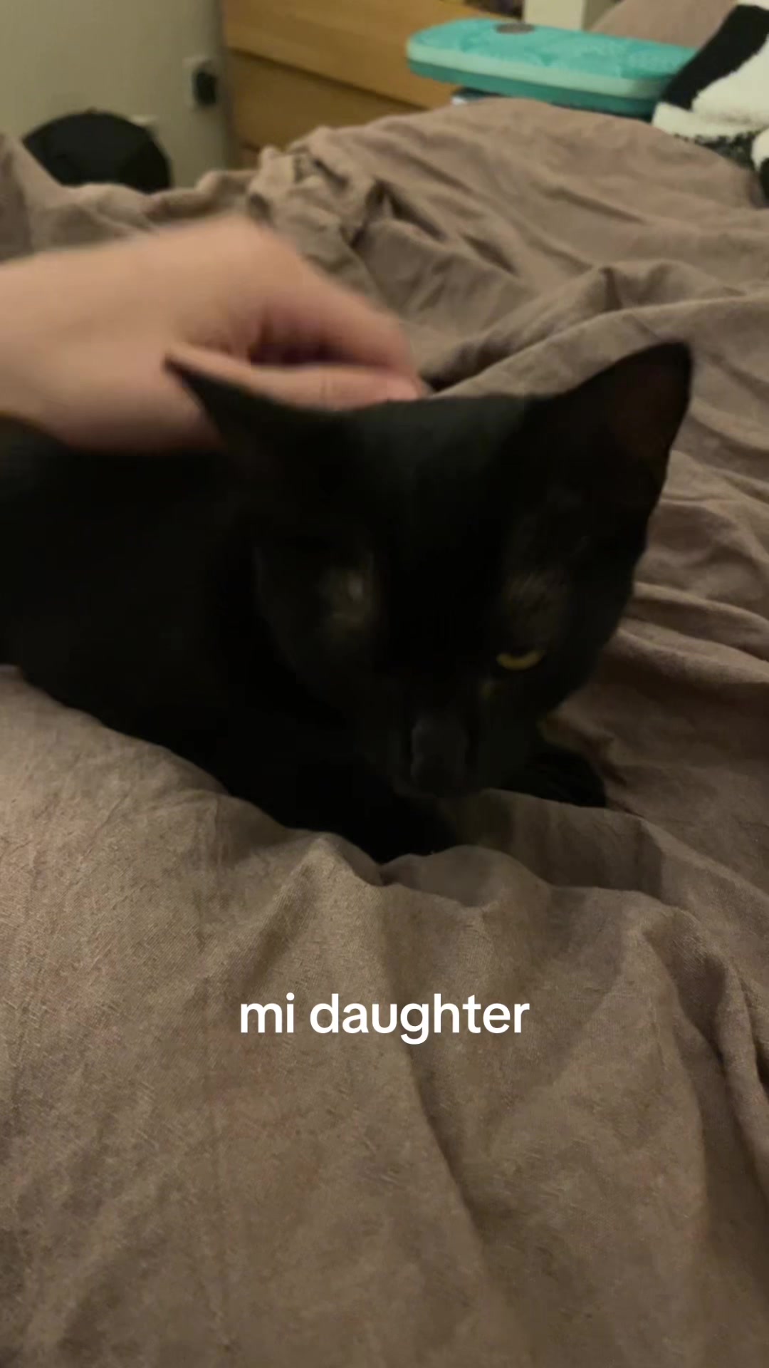 @mad gamer
