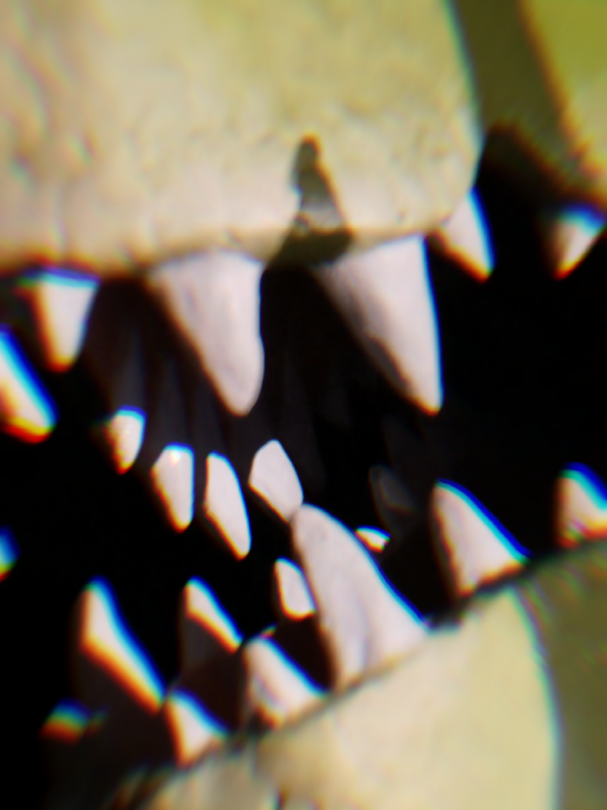 @« ๐บ๐๐๐ข๐๐ // ๐๐๐๐๐ »