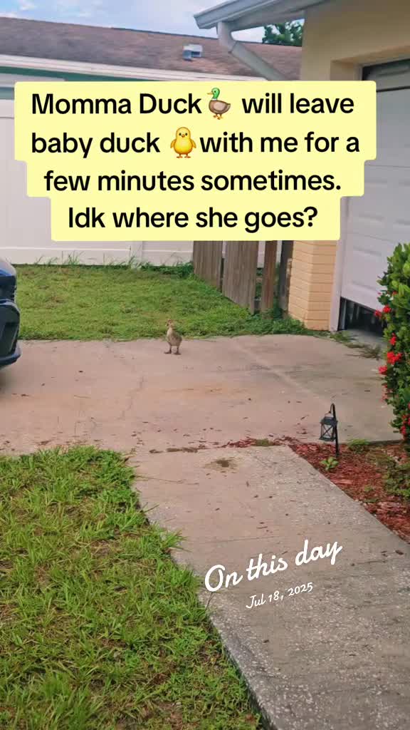 @Dani💗