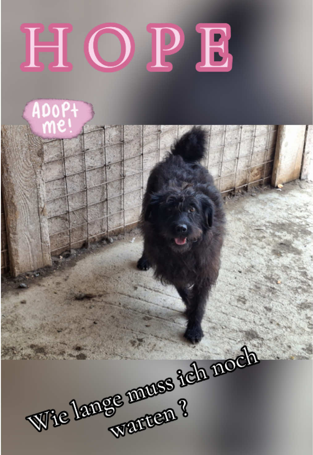 @Soulistas.Tierliebe