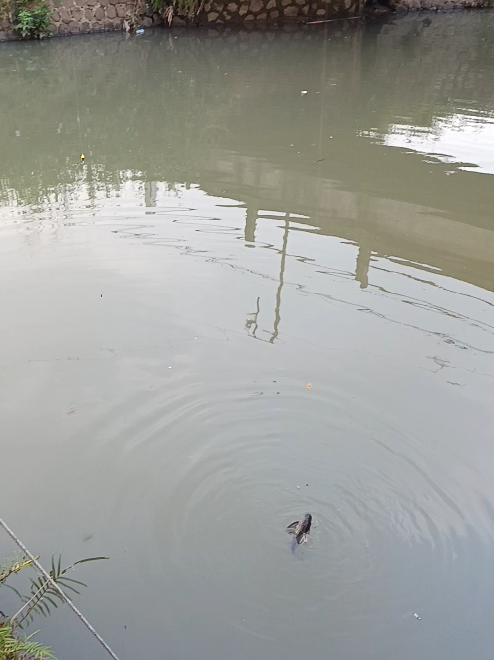 @Mencoba Mancing