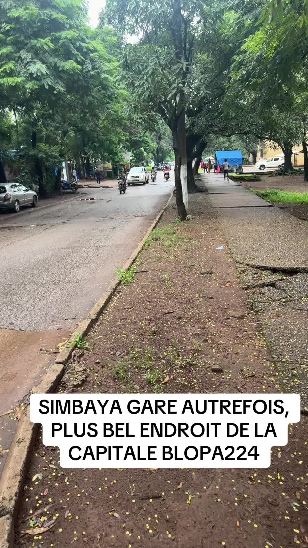 @La Guinée 🇬🇳 notre paradis