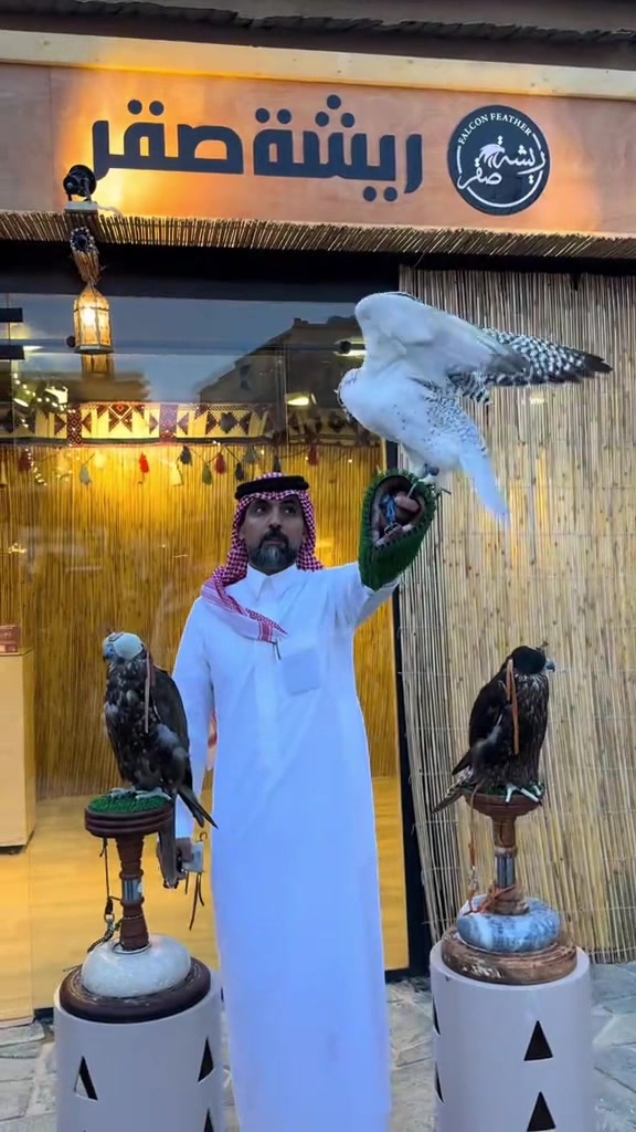 @ريشة صقر