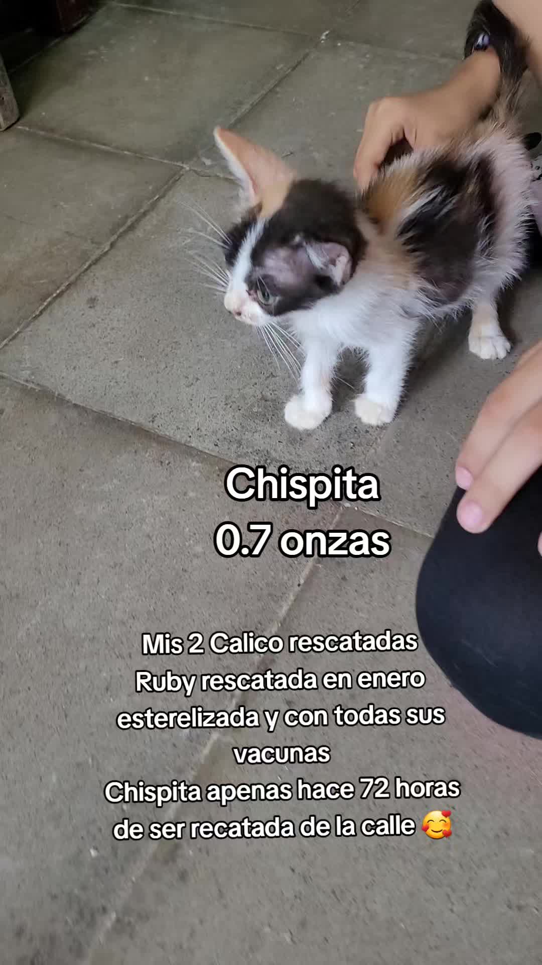 @𝕃𝕚𝕤𝕤 ℝ𝕖yes🇸🇻