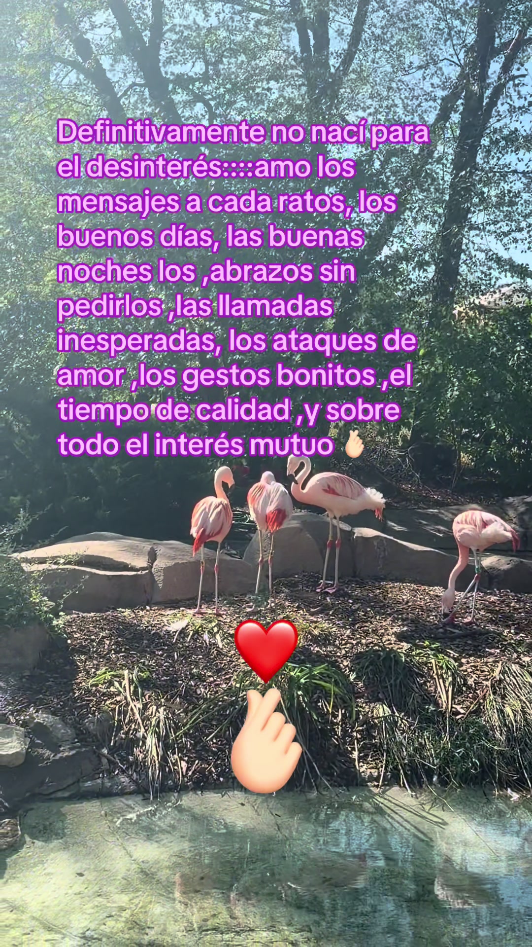@🎀Yomi🦋