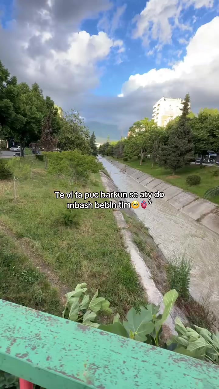 @Alee🇦🇱