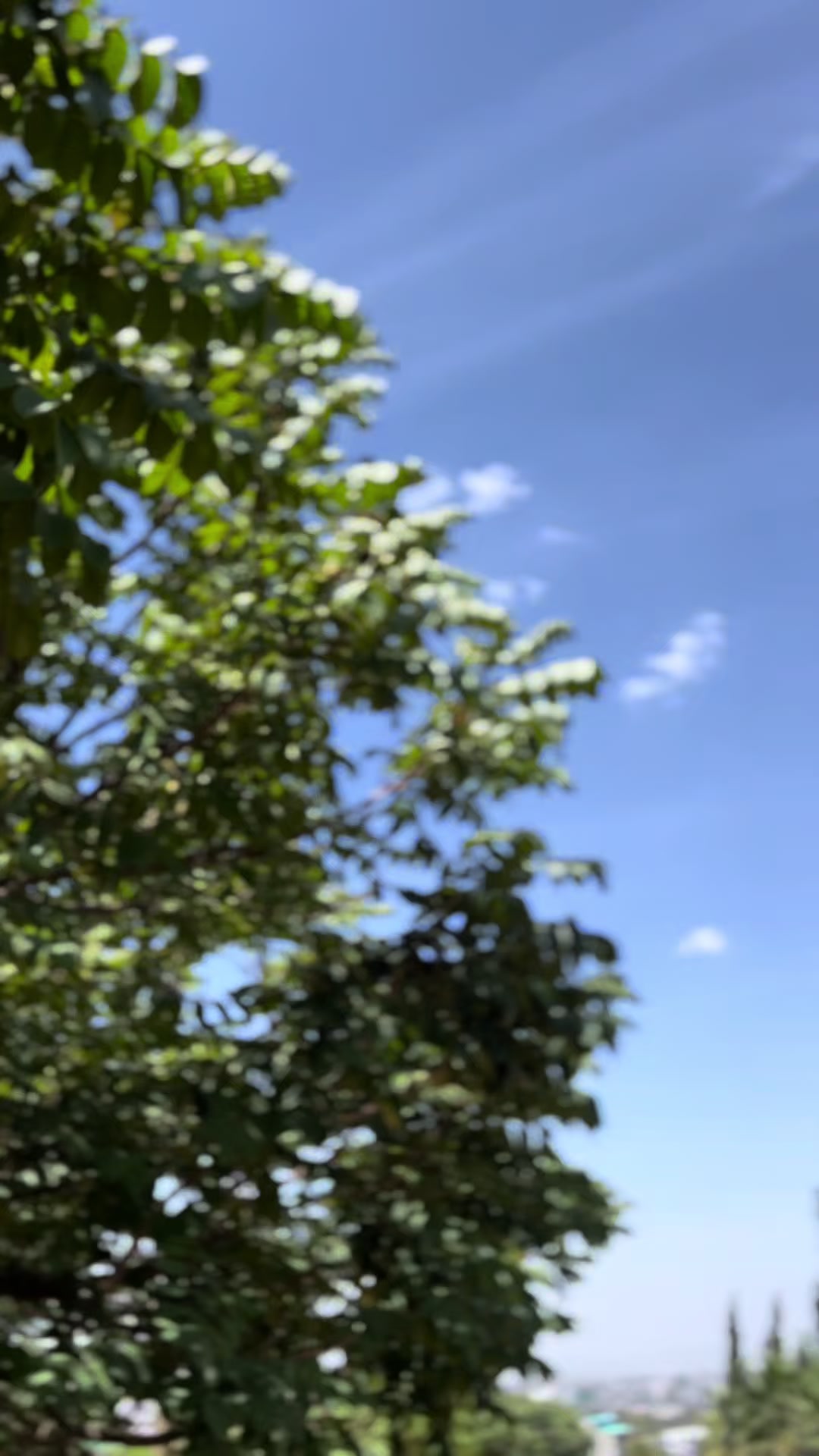 @sura ja😎😎