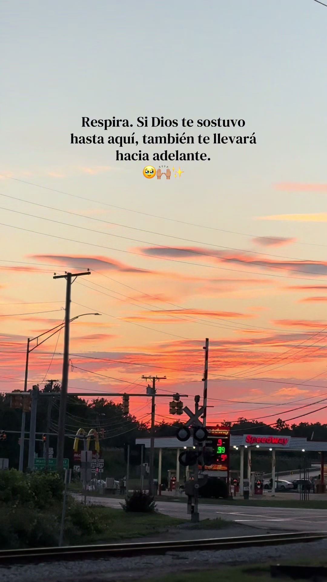 @🤍✨.