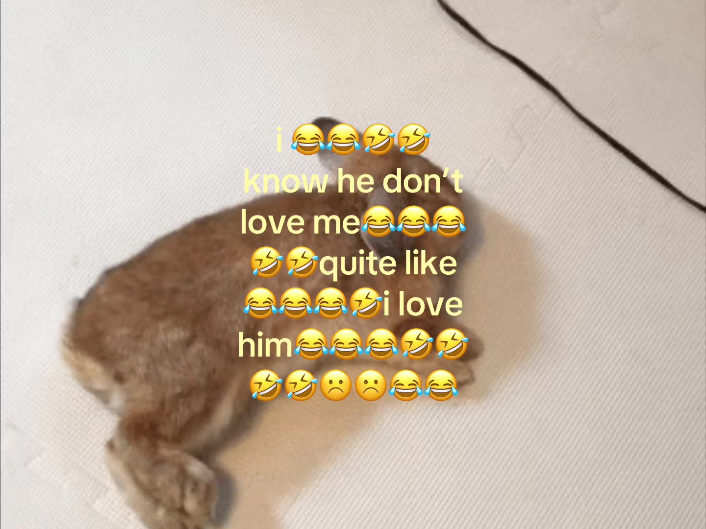 @❀