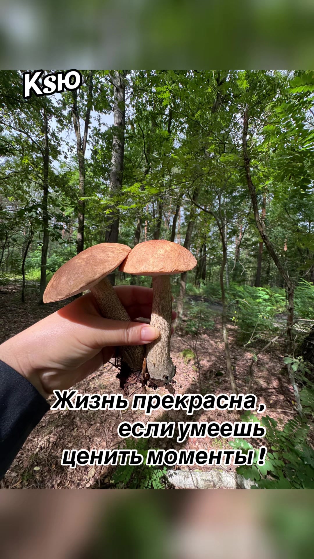 @🌺 𝕂𝕤𝕪 𝔸𝕟𝕘𝕖𝕝 🌺