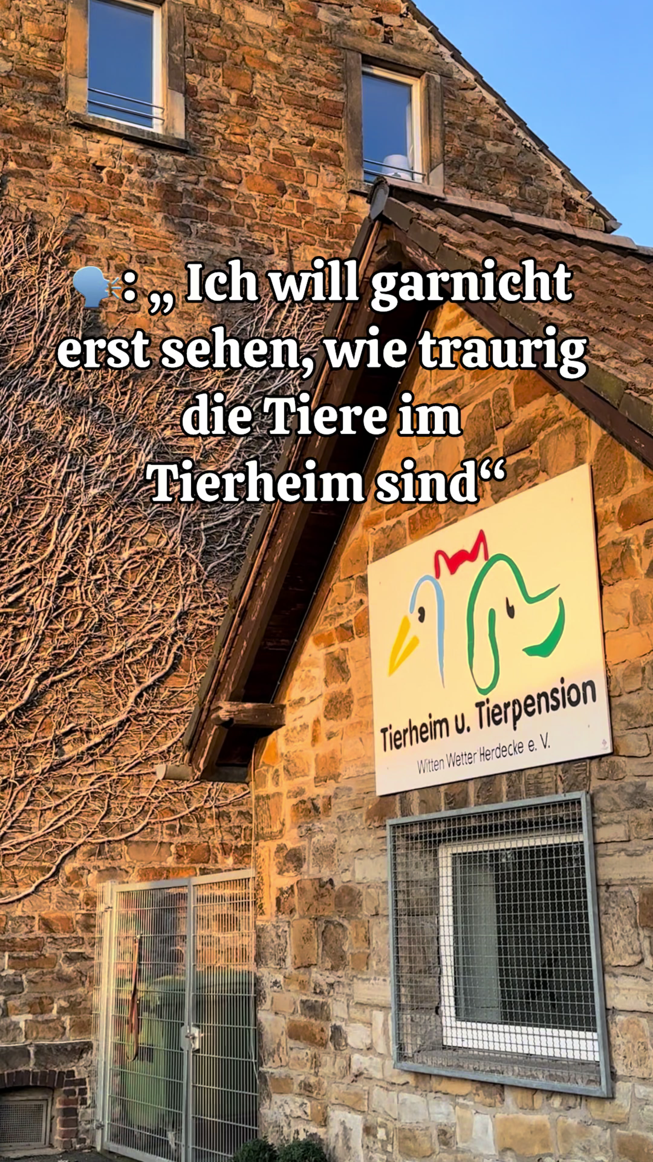@Tierheim Witten e.V.