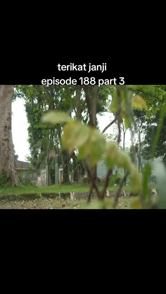 @Shavira2425🇮🇩🇭🇰