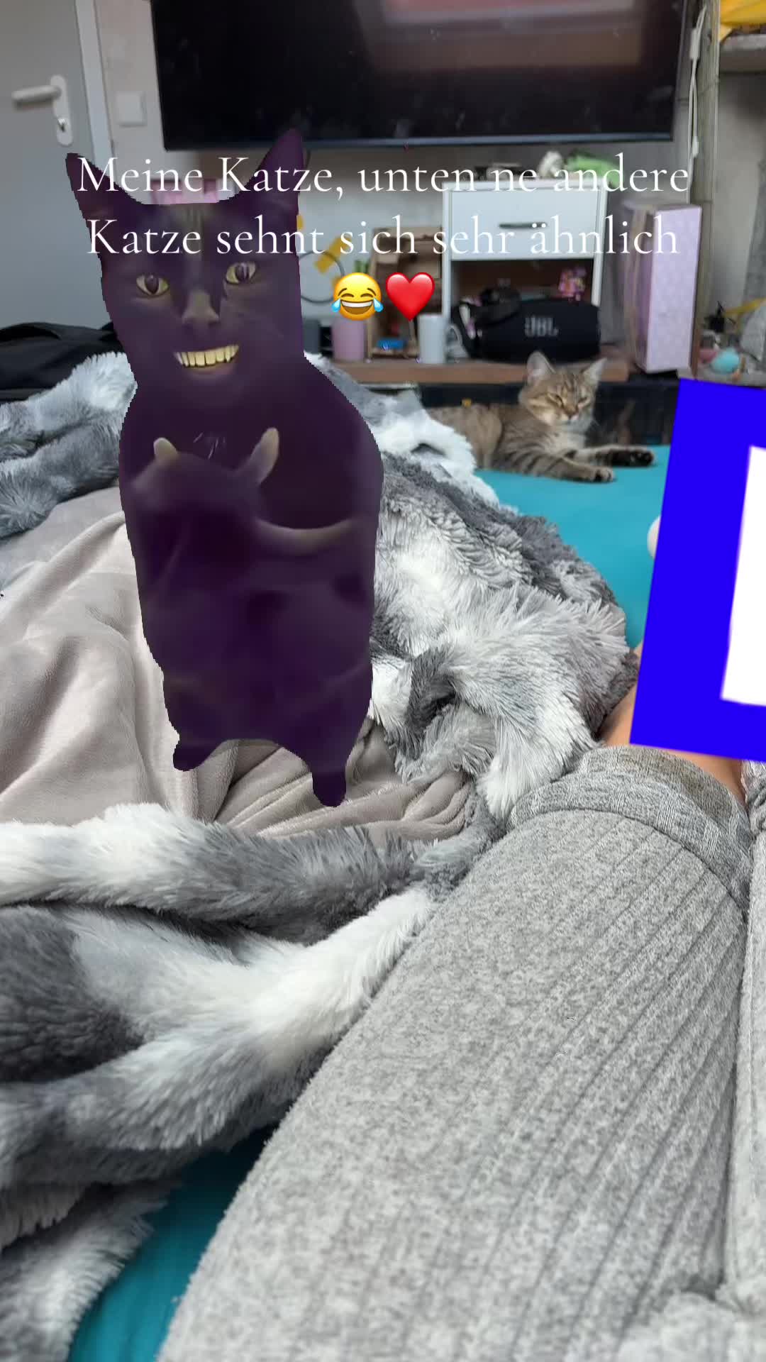 @juil4431