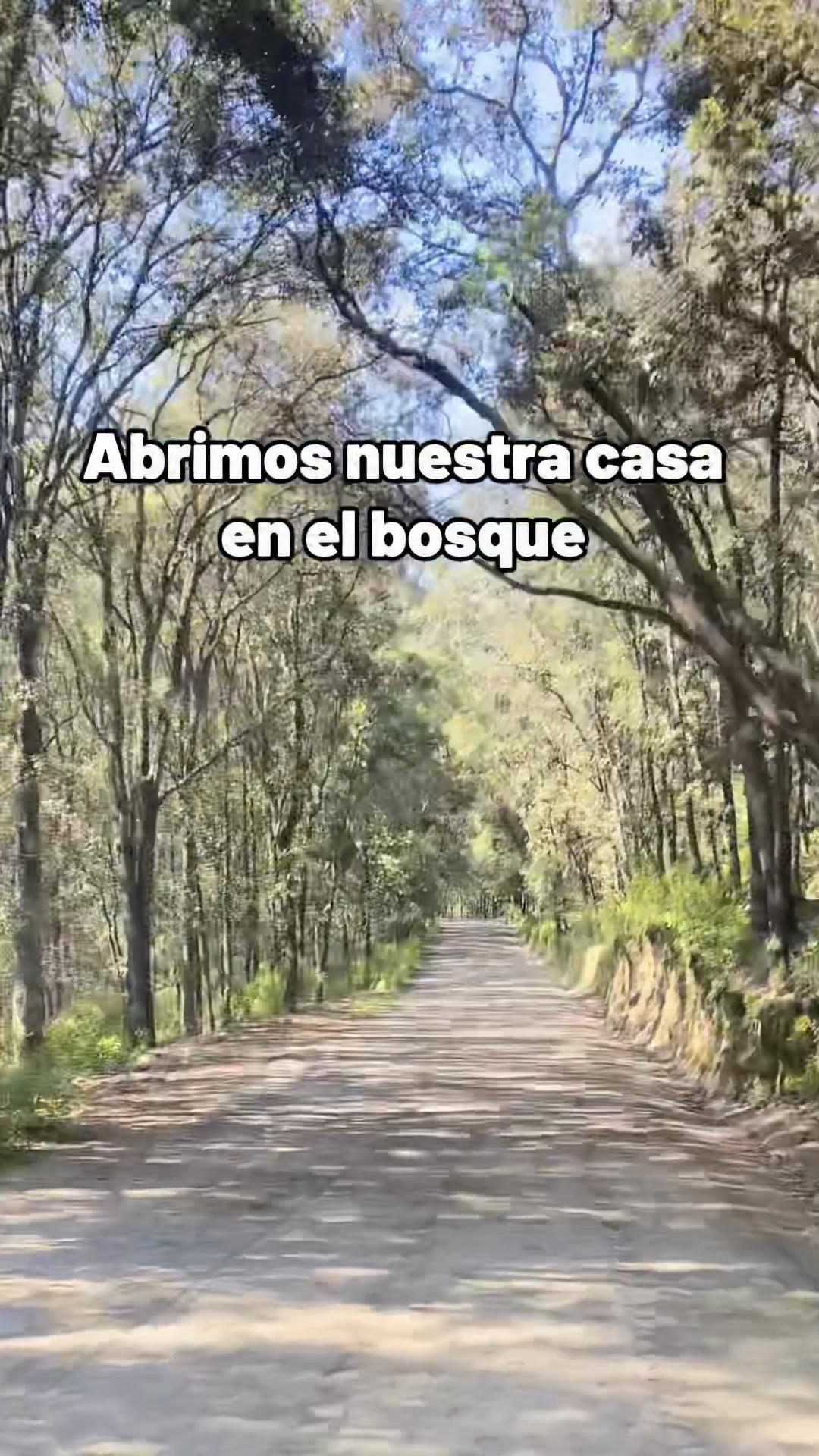 @Corazon del Bosque