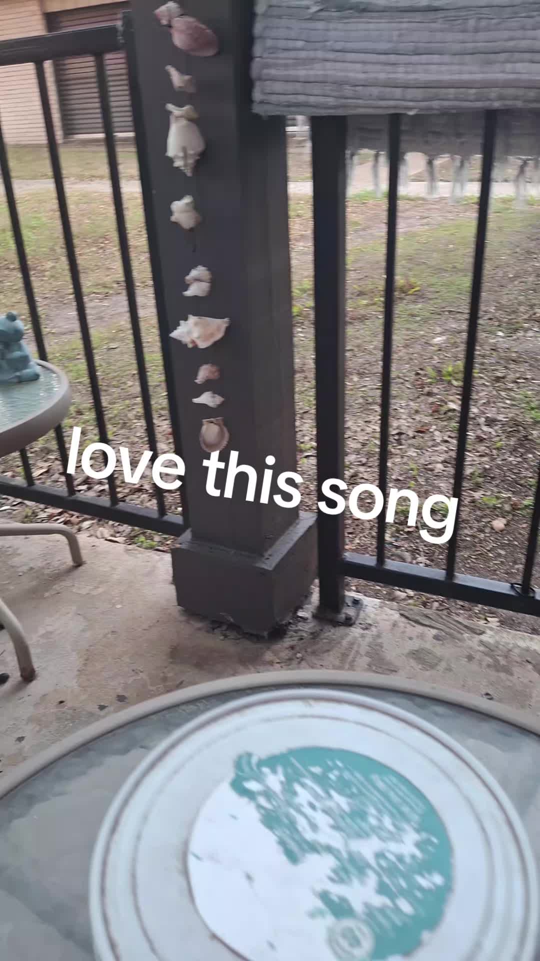 @granny at kitchen table 🎼🎵❌️