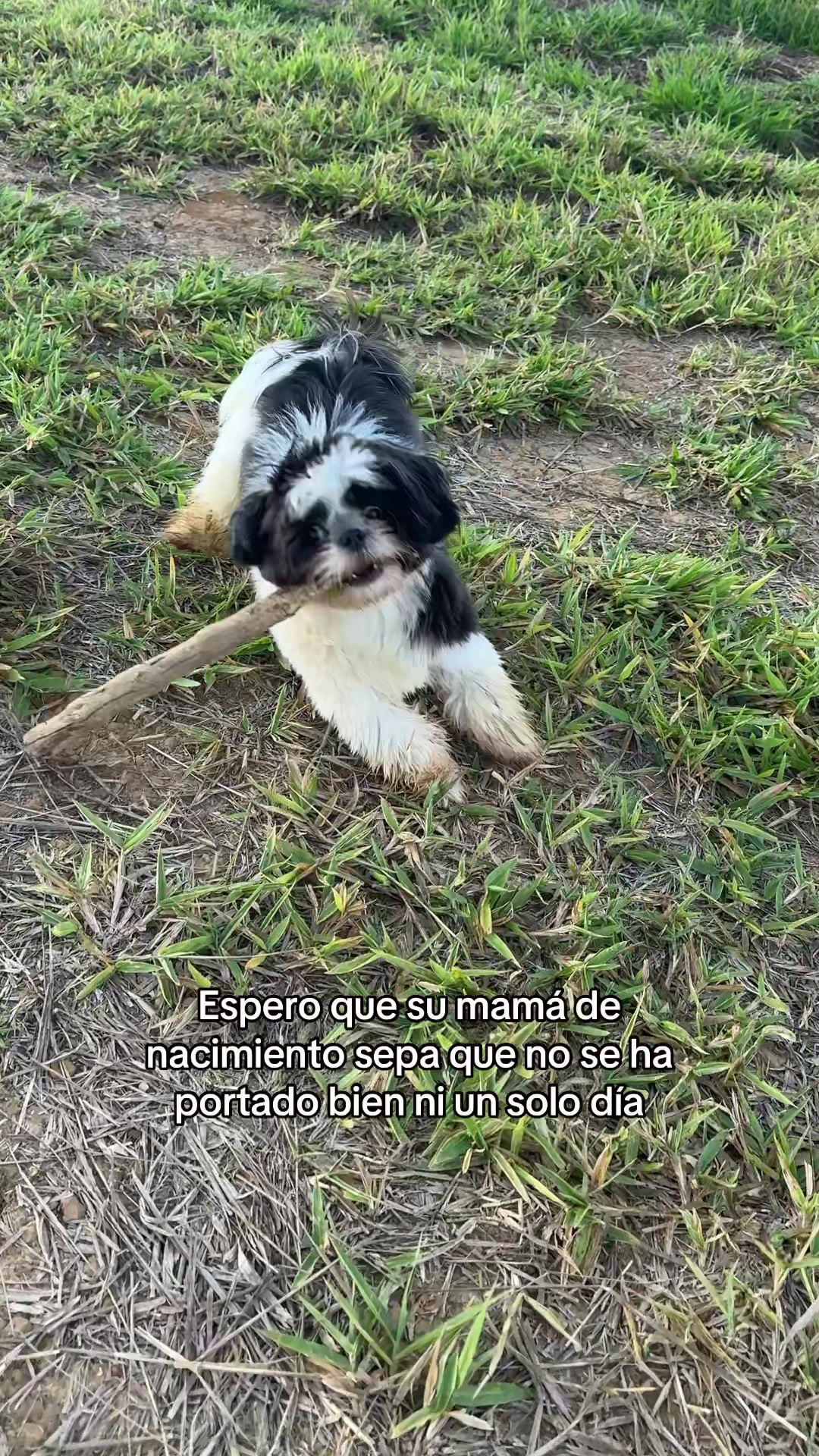 @𝐴𝑙𝑒 ✿