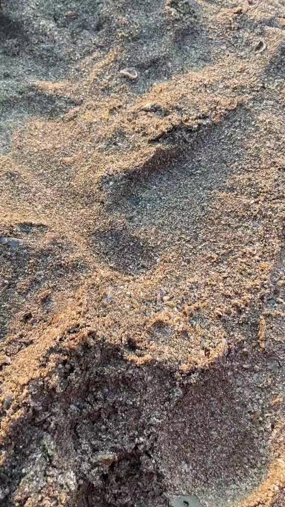 @ƏHMƏDOV 026