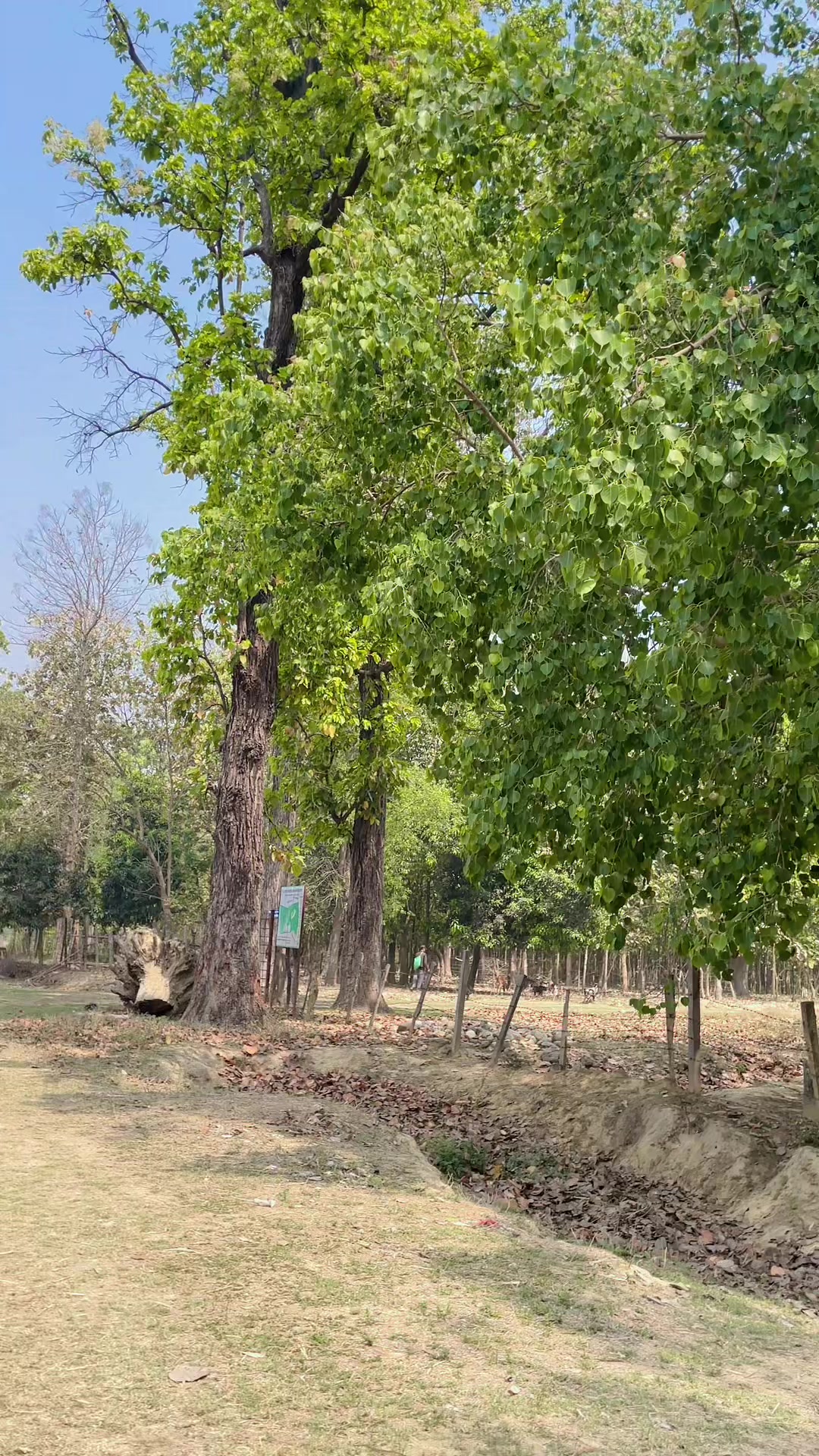 @शिशिर मगर