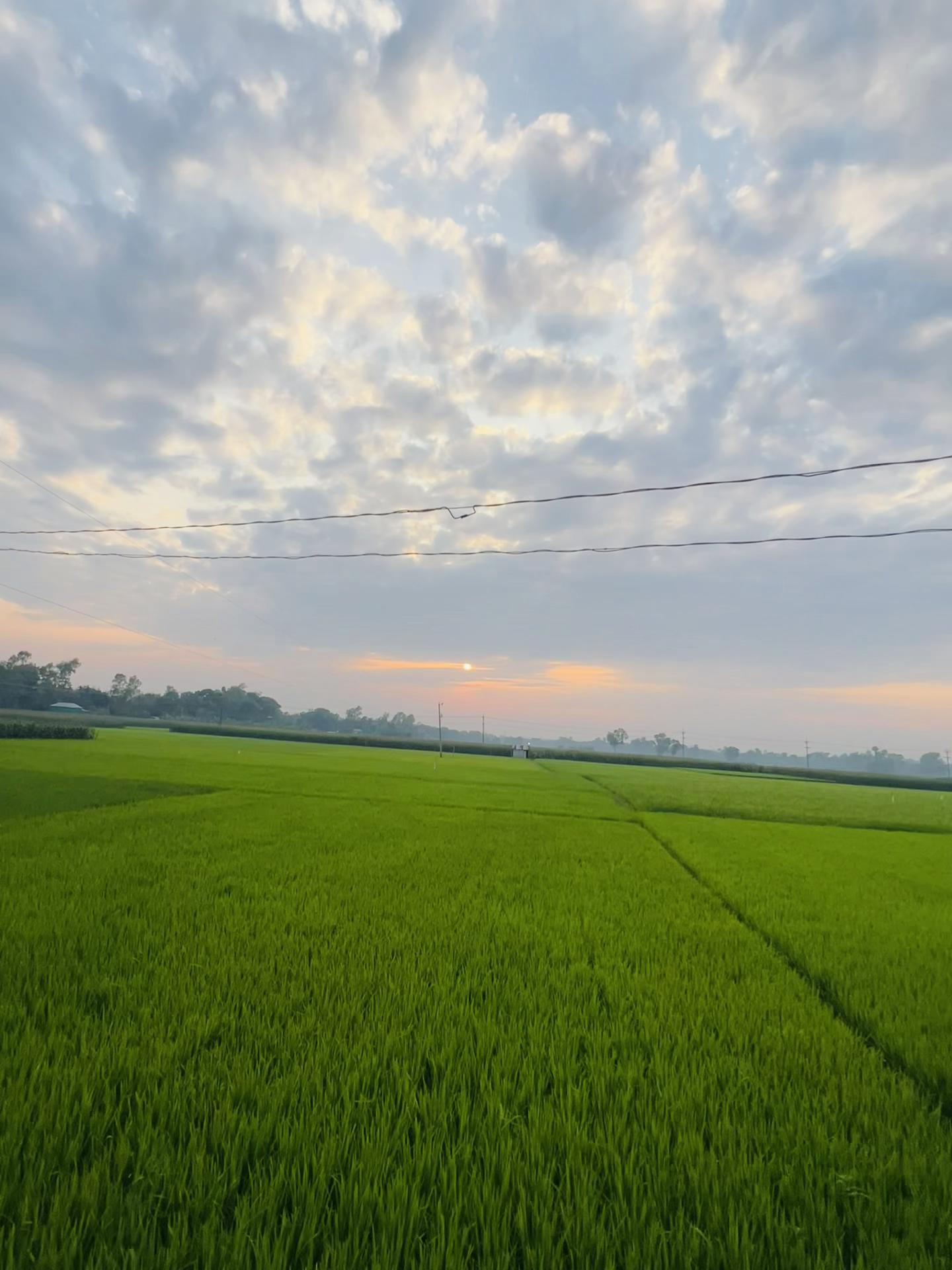 @রা হা ত