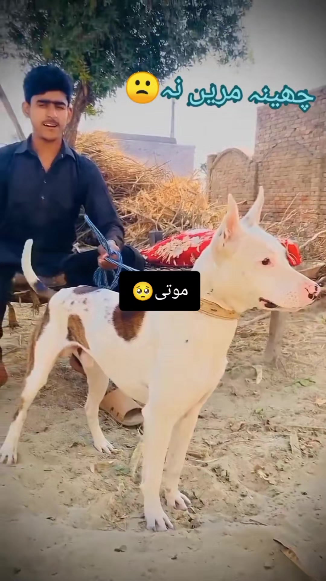 @Mahar shahzaib😍