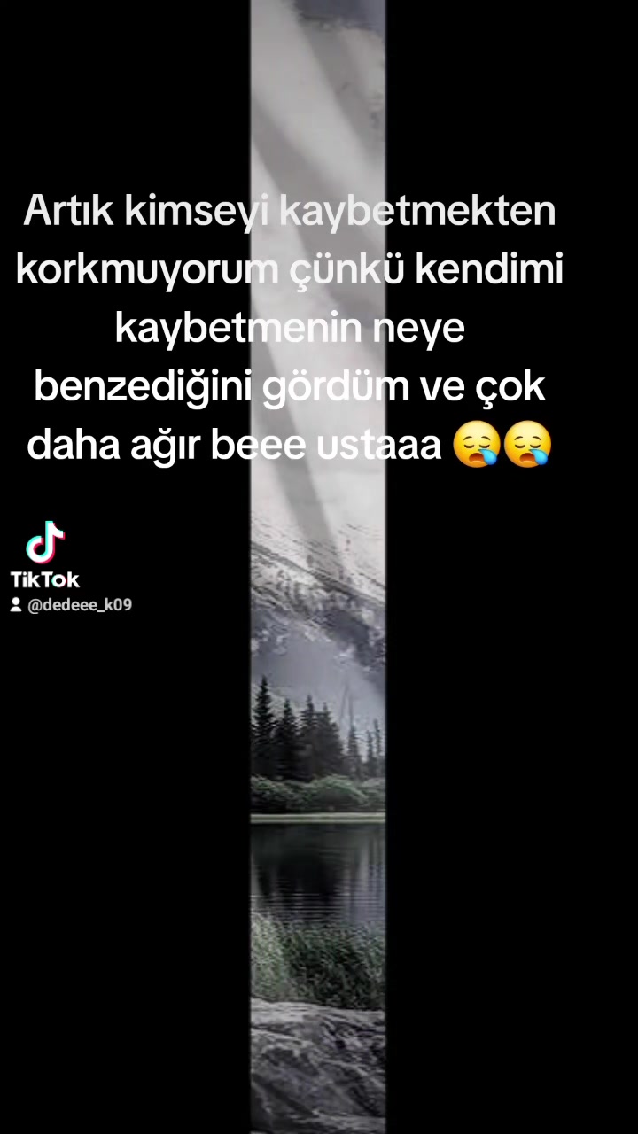 @⚜️wolf usta ⚜️